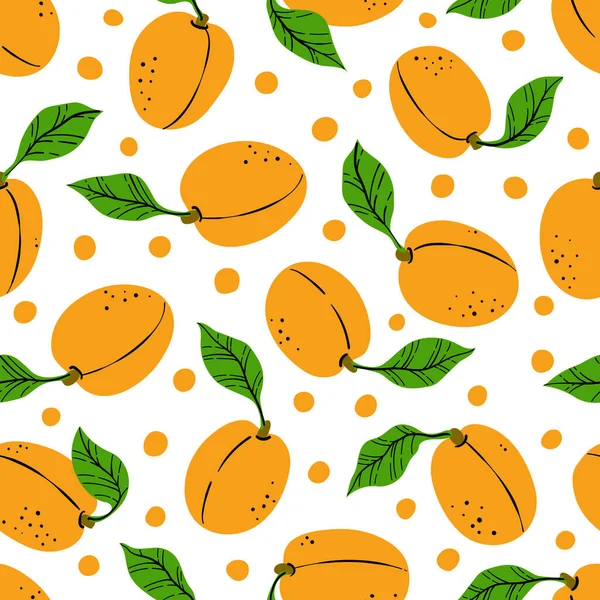 Seamless Pattern Orange Apricot Hand Drawn Apricots Pattern White Background - Stok Vektor