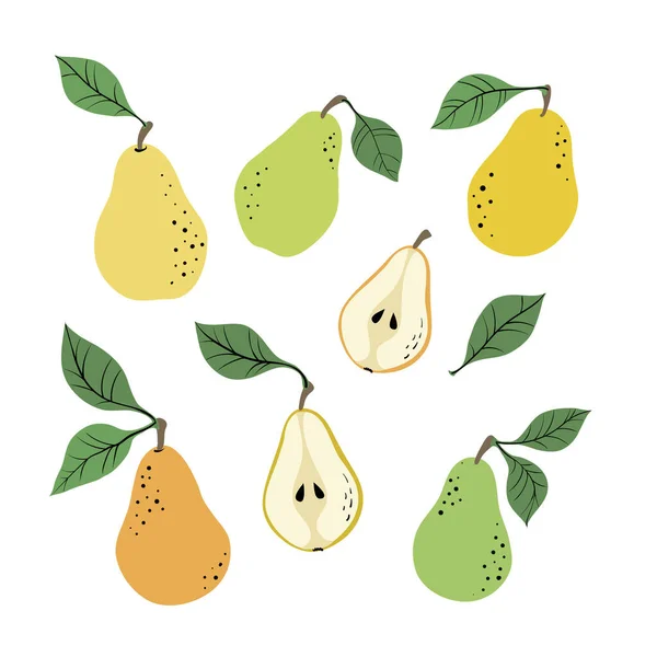 Set Yellow Green Pears Pear Slices Hand Drawn Pears Pattern - Stok Vektor