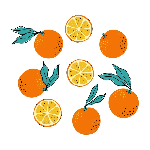 Tropical Set Oranges Circle Orange Slices Hand Drawn Citrus Orange —  Vetores de Stock