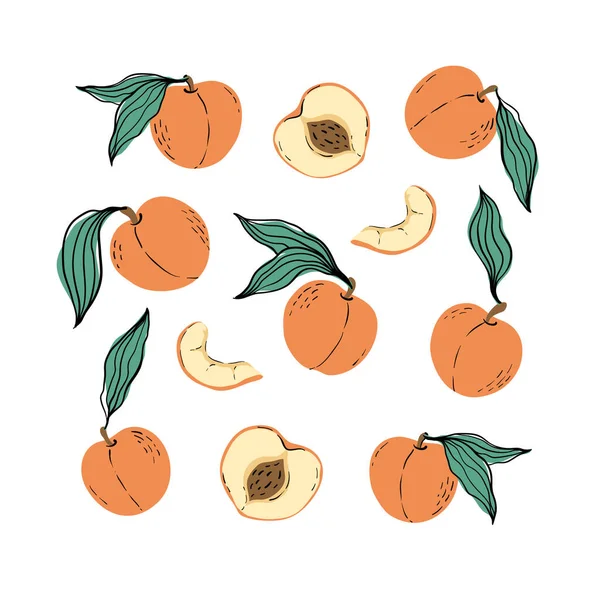Set Orange Peaches Peach Slices Hand Drawn Peaches Leaves Isolated — Wektor stockowy