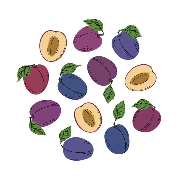Tropisches Set Aus Violetten Pflaumen Und Pflaumenscheiben Handgezeichnete Früchte Pflaume — Stockvektor