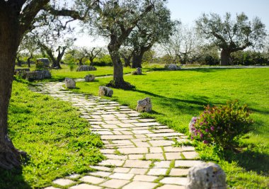 çim ve ağaçların çevrili kırsal yol