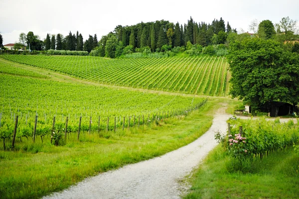 Piękny widok na toskańskie krajobrazy — Zdjęcie stockowe