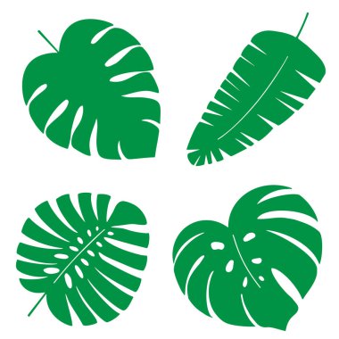 Tropik yapraklar koleksiyonu. Beyaz arkaplanda izole edilmiş vektör ögeleri.