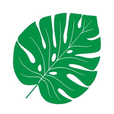 Tropik yaprak çizimi. Beyaz arkaplanda izole edilmiş vektör ögesi.