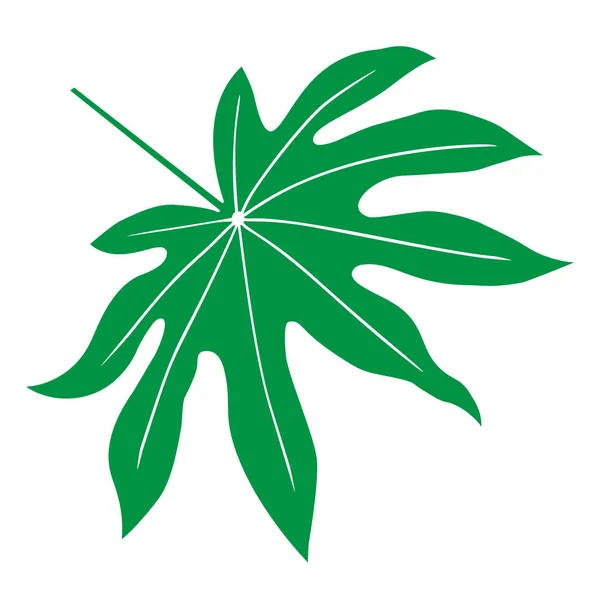 Tropical Leaf Illustration Vector Isolated Element White Background — 图库矢量图片