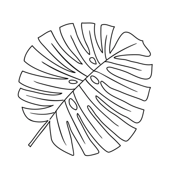 Illustration Feuilles Tropicales Élément Isolé Vectoriel Sur Fond Blanc — Image vectorielle
