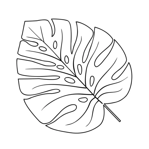 Illustration Feuilles Tropicales Élément Isolé Vectoriel Sur Fond Blanc — Image vectorielle