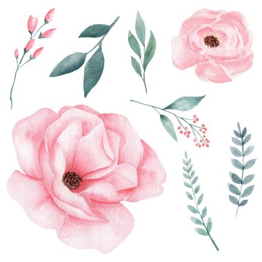 Set of hand painted watercolor flowers in pink color and greeney leaves. Isolated clipart for wedding, invitations, blogs, template card.