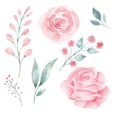 Set of hand painted watercolor flowers in pink color and greeney leaves. Isolated clipart for wedding, invitations, blogs, template card.