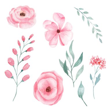 Set of hand painted watercolor flowers in pink color and greeney leaves. Isolated clipart for wedding, invitations, blogs, template card.