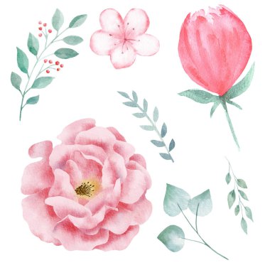 Set of hand painted watercolor flowers in pink color and greeney leaves. Isolated clipart for wedding, invitations, blogs, template card.