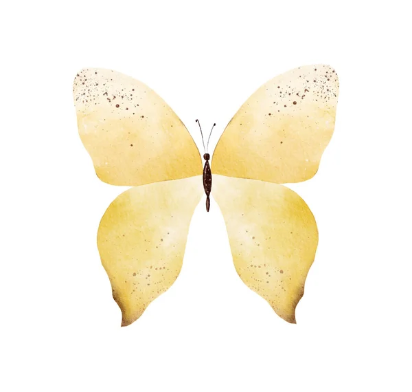 Hand Painted Yellow Watercolor Butterfly Clipart Iindividual Illustration — Stok fotoğraf