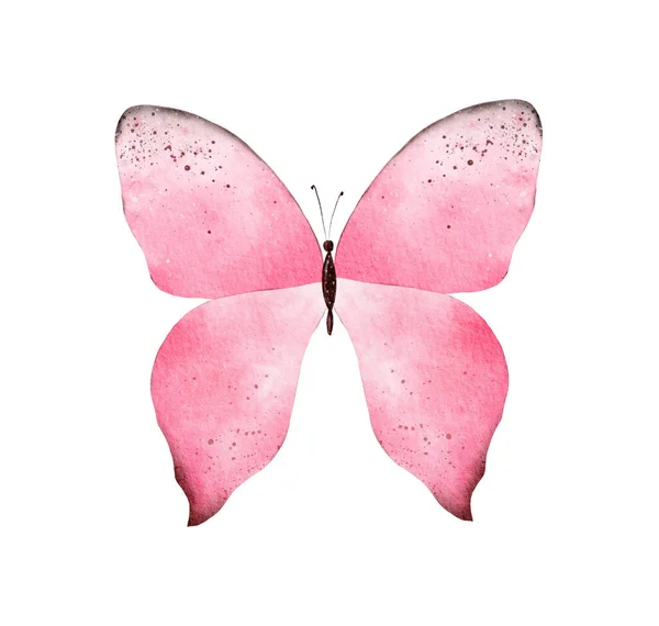 Hand Painted Pink Watercolor Butterfly Clipart Iindividual Illustration —  Fotos de Stock