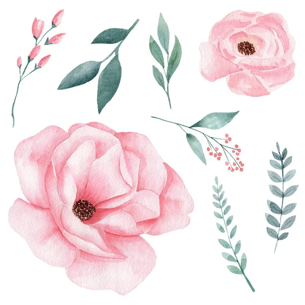 Set Hand Painted Watercolor Flowers Pink Color Greeney Leaves Isolated — Stock Photo, Image