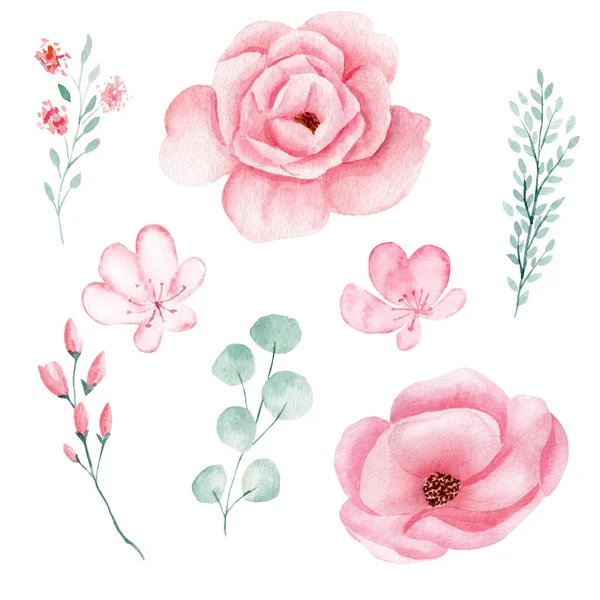 Set of hand painted watercolor flowers in pink color and greeney leaves. Isolated clipart for wedding, invitations, blogs, template card.