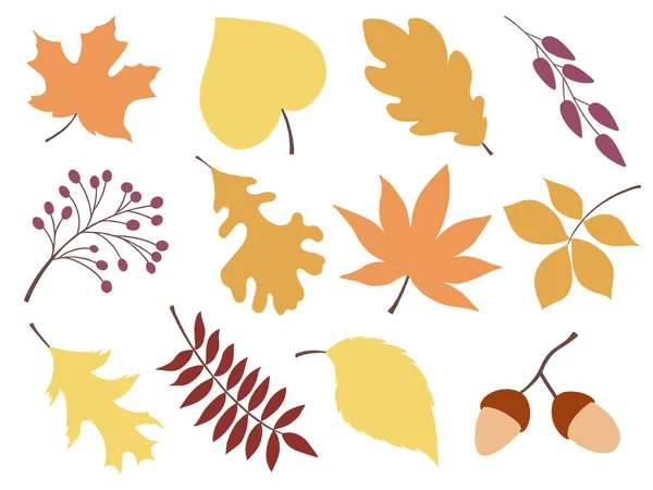 Big Set Fall Leaves Autumn Objects Fall Clipart Halloween Thanksgiving — Stok Vektör