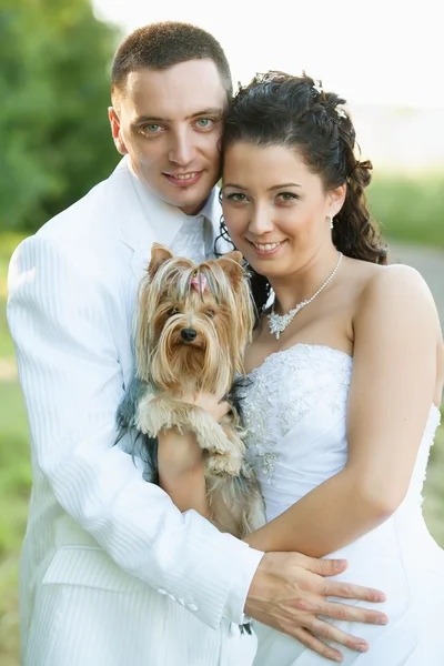 Νύφη και γαμπρός similing με έναs σκύλοs — Φωτογραφία Αρχείου