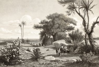 Marsala Hediyelik eşya