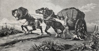 taslak at nalı