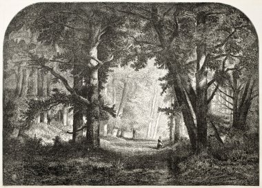 fontaneibleau orman