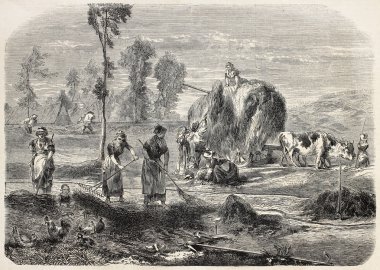 Haymaking