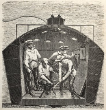 Nautilus