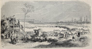 Montpellier at yarışı