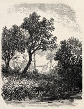 Doğal Manzara
