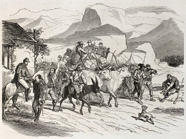 garibaldian gönüllü