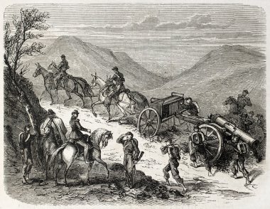 Piedmontese topçu