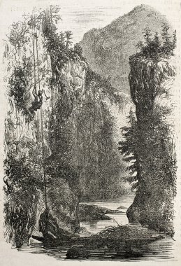 Savoy BIS