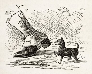 cüce terrier