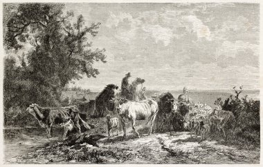 Çiftçi.