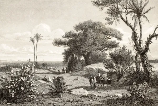 Marsala Hediyelik eşya