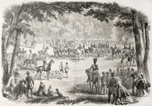 Компьенский лес
