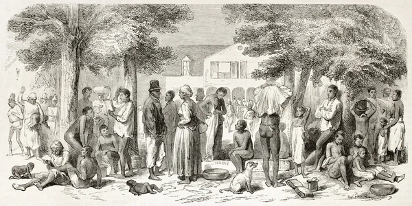 Hollandalı guyana