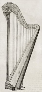 Arp