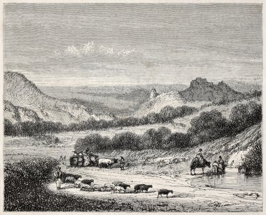 piyasadan geri