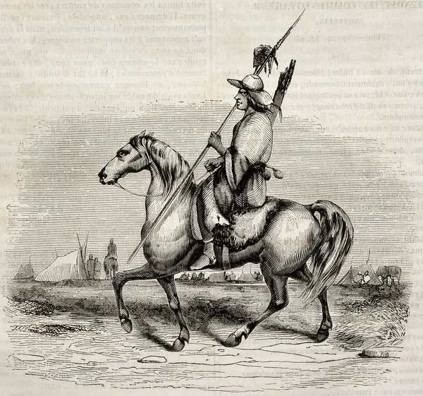 Патагонский рыцарь — стоковое фото