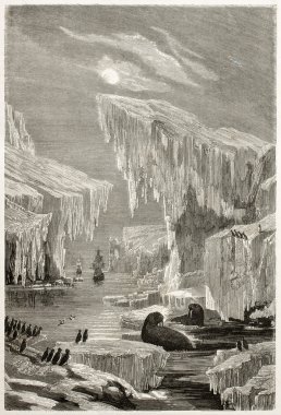 Arctic arama