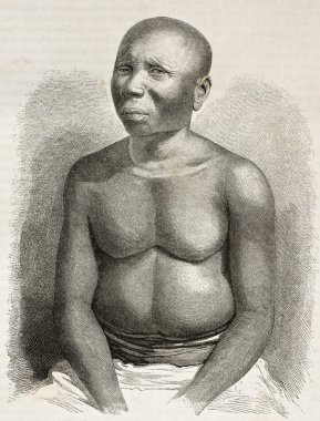 jarawa adam