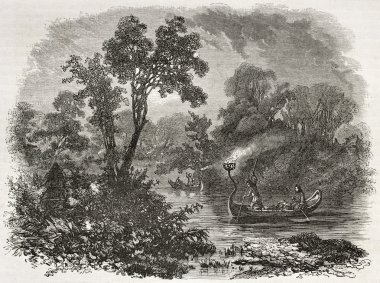 Saulteaux