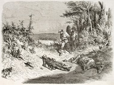 Ceset kalıntıları