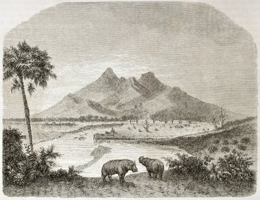 Fazogli