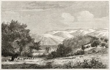 mororo Havzası