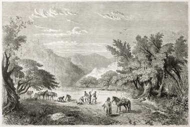 marghi orman içinde kalan kervan