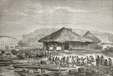 Andean kitle