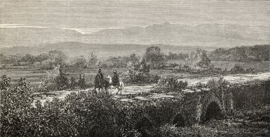 bis sakaria üzerinde köprü