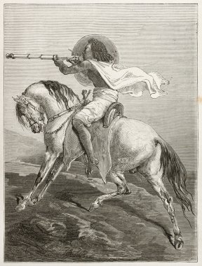 Habeş knight